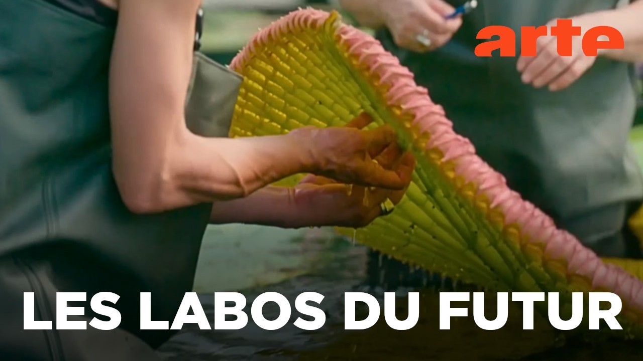Les jardins botaniques - Un sanctuaire pour la flore | ARTE