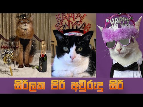Sirilaka Piri Aurudu Siri | සිරිලක පිරි අවුරුදු සිරි | Cat Music Video