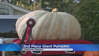 Good God, What A Gourd!