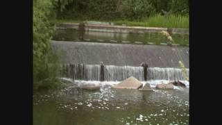 preview picture of video 'Weir on the Stort Harlow'