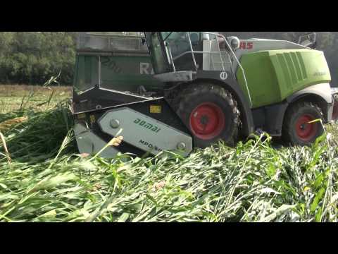 MPD SORGO CLAAS 960 1