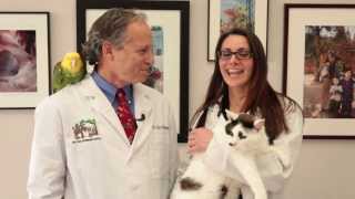 preview picture of video 'East Bay Veterinary Hospital - Short | Merrick, NY'