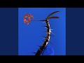 Depth Charge