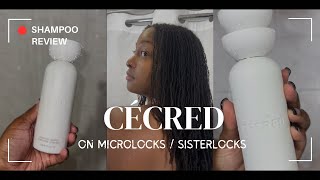 Cécred Shampoo on Locs / Microlocks