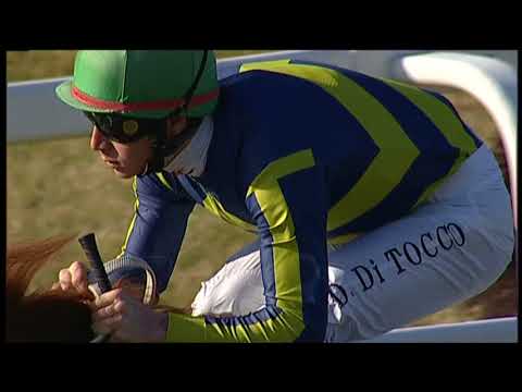 2018-01-28 Corsa 1 metri 1200 Premio Porta Nuova