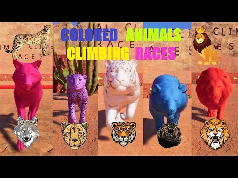 COLORED CARNIVORE AFRICAN ANIAMLS RACES IN PLANET ZOO- LION, WOLF, TIGER, LEOPARD,