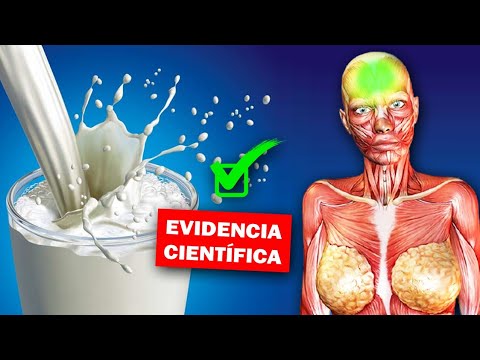 Conoce Los Mejores Sustitutos  De La Leche De Vaca