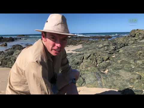 ⚒️ George the Geologist -  Basalt Dyke