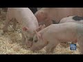 There Is Still Time To Visit The Big E