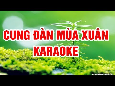 Cung Đàn Mùa Xuân ( Remix ) - Karaoke Beat Chuẩn Nhạc Sống Thanh Ngân