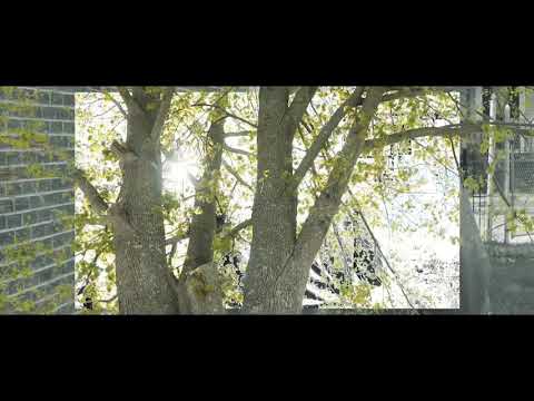 SEMI 7 x TeoGang Kobe x Lord Trizz -TEARS [Official Music Video] S/E By Bridgez