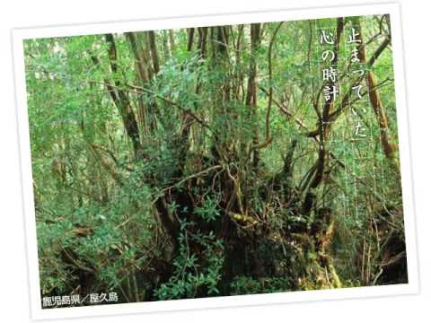 ／ 小さな鞄 (Ayako Ikeda / "Small Traveling Bag") のサムネイル