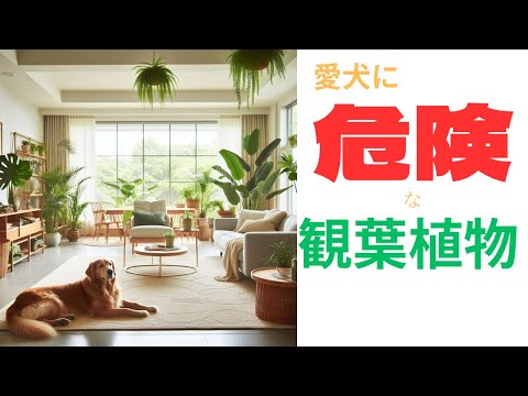 犬にとって安全な植物