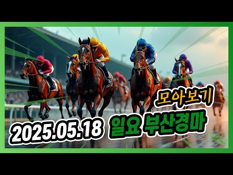 "2025년 5월 18일 일요 서울경마 전체경주 모아보기"