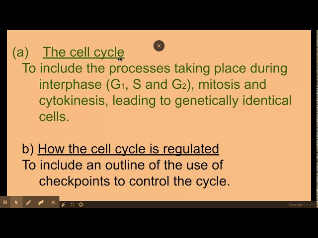 Understanding the Cell Cycle and Its Regulation | Magica