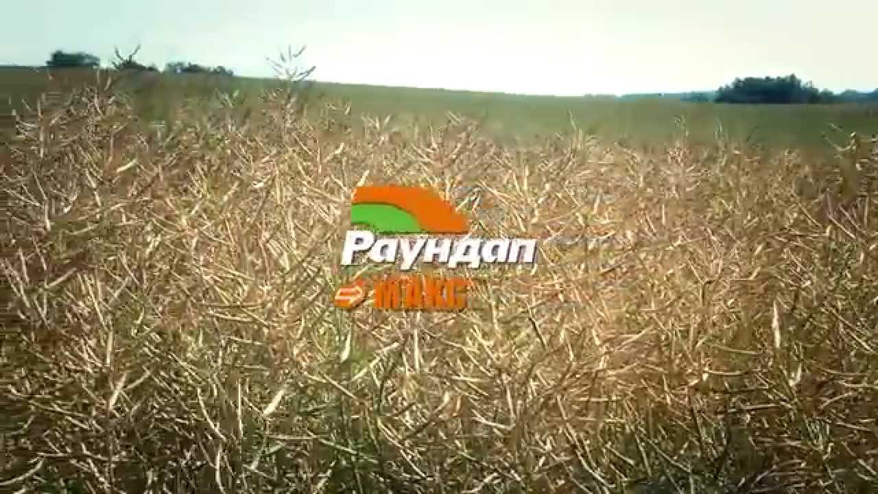 Гербіцид Раундап Макс 20 л — гліфосат 450 г/л Bayer