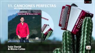 Ivan David Villazon - Canciones Perfectas