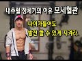 근육과 혈관! 모세혈관의 갯수와 기능