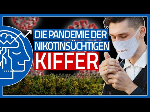 Warum du Cannabis und Tabak niemals mischen solltest