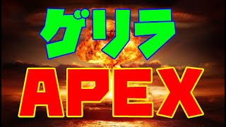 【Apex】深夜テンションで超ゲリラ配信