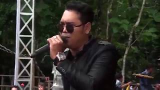 Download lagu Brodin New pallapa tak berdaya asyik boz mp3
