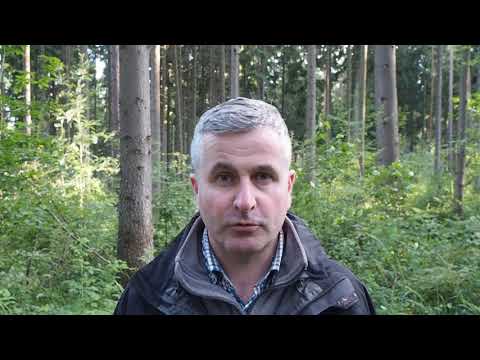 Liam Byrne (Ireland)