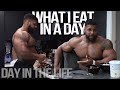 WHAT I EAT IN A DAY // PRO BODYBUILDER DAY IN THE LIFE