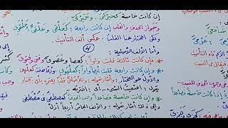 شرح ابن عقيل ( 855-861 ) 184 image