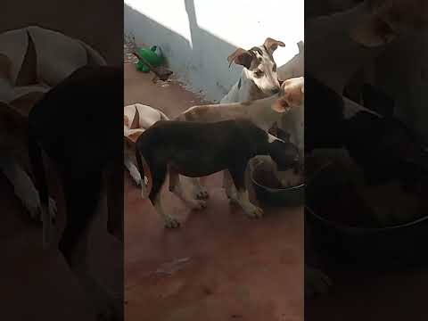 chave pix para doação de qualquer valor 47.803.592/0001_43