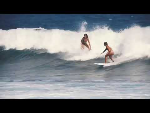 Playa Bowls Acai Bowls  - Meet Our Surf Squad!