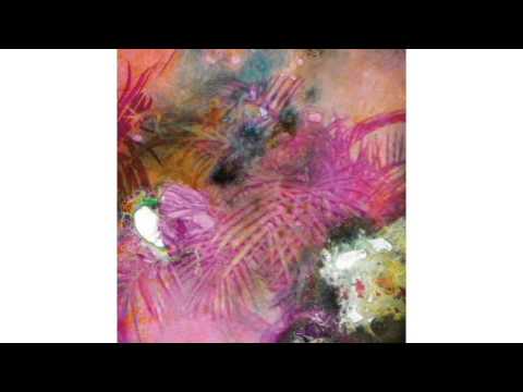 Panthera Krause - The Space Between Us