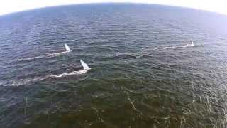 preview picture of video 'Windsurf Ishøj Strand sommer 2014'