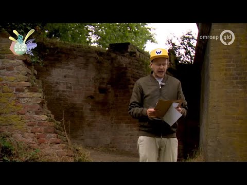 Vierdaagsefeesten met Omroep Gelderland 24 juli 2020