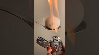 Lighter vs Egg 🥚