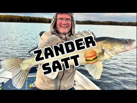 Zander 🇸🇪 Abenteuer🎣! Bonus: Bester Burger🐟🍔
