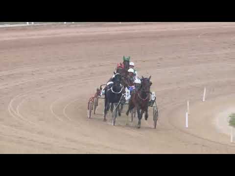 2018.03.24 6 futam ügető Kincsem Park