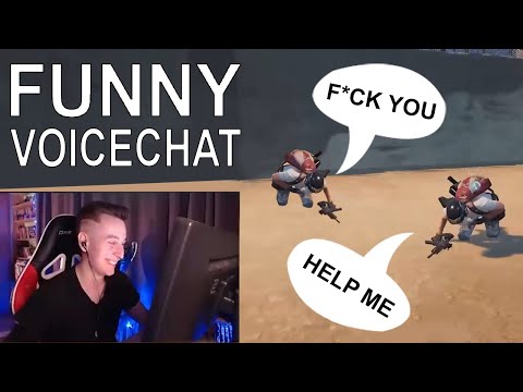 How people react to me INGAME [Funny Voicechat]
