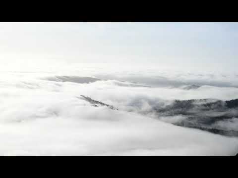 Mount Tamalpais East Peak  4