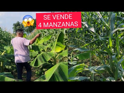 BONITO TERRENO A LA VENTA,Quieres 1,2,3 Manzanas En Aldea PINULA,Cerca De NUEVA CONCEPCIÓN ESCUINTLA