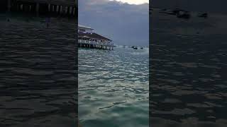 Beautiful Capetown fish market #myzanzibar #zanzibarisland #stonetown #stonetown