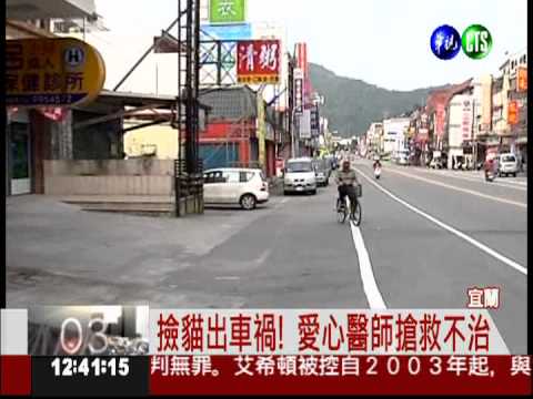 撿貓屍被撞上... 愛心醫師走了!