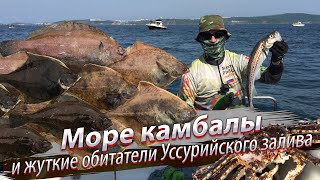 Ловля краба в японском море