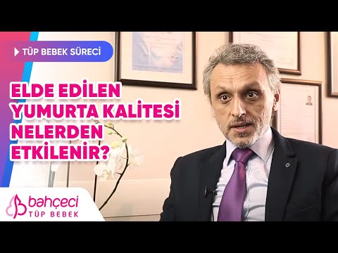 Elde edilen yumurta kalitesi nelerden etkilenir? Gebelik başarısını etkiler mi? Doç. Dr. Bora Cengiz