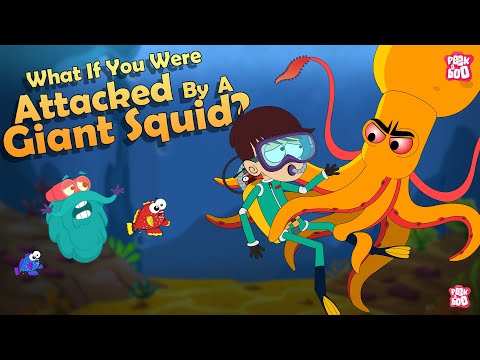 What If You Were Attacked By A Giant Squid? | Deep Sea Creatures | The Dr Binocs Show |Peekaboo Kidz