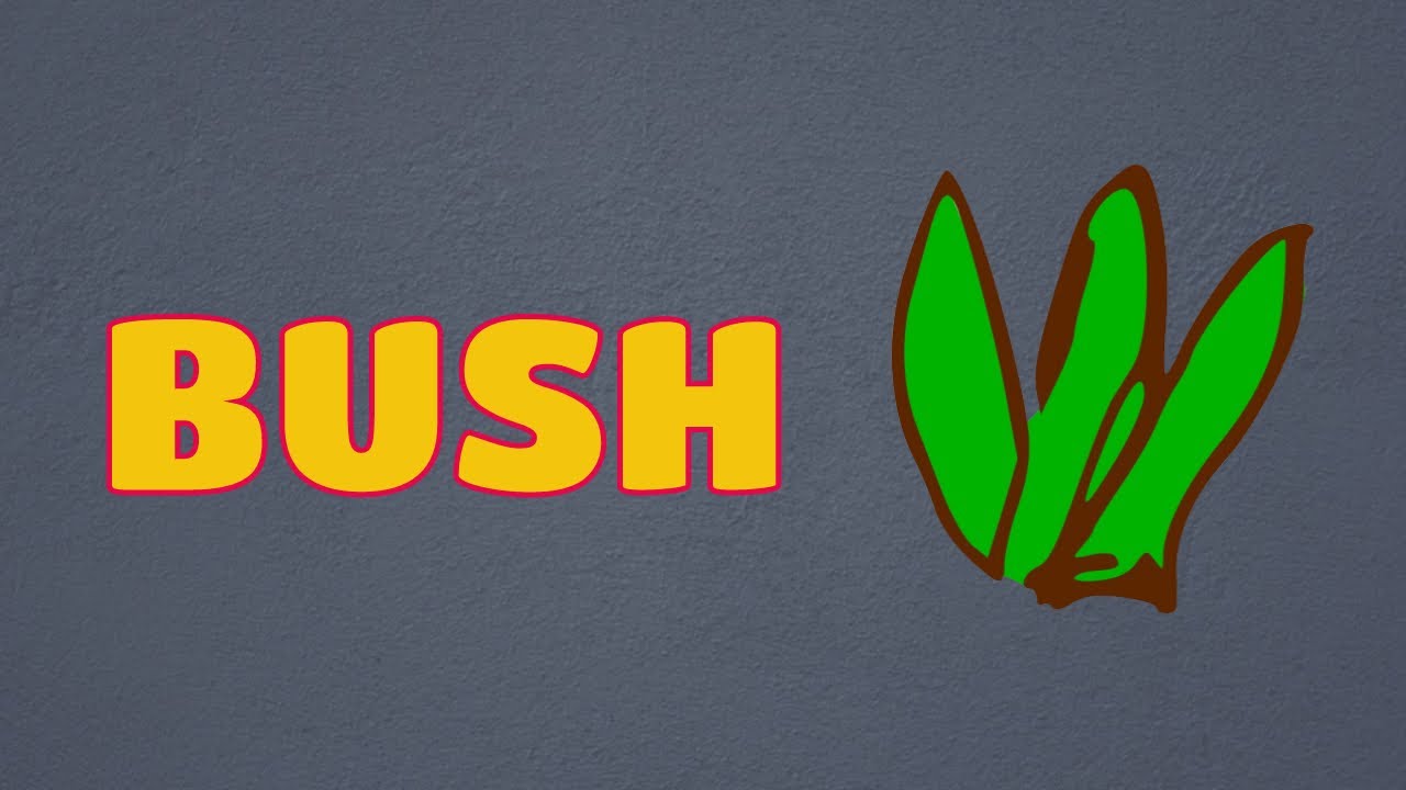 What does the bush mean? Tipseri