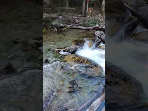 Momento de #relaxing al lado de este #arroyo en El Maiten #primavera 2023 #trekking Cañadon Ensueños