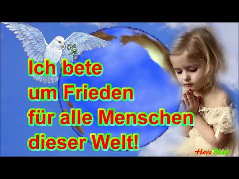 💙💛Stoppt den Krieg💙💛 Frieden 🌿Liebe💕Glauben🙏Kleine weiße Friedenstaube🕊