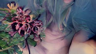 trust - lucy dacus (slowed &amp; reverb)