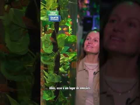 Oceanic Aquarium em Balneário Camboriú: entre rios e mar