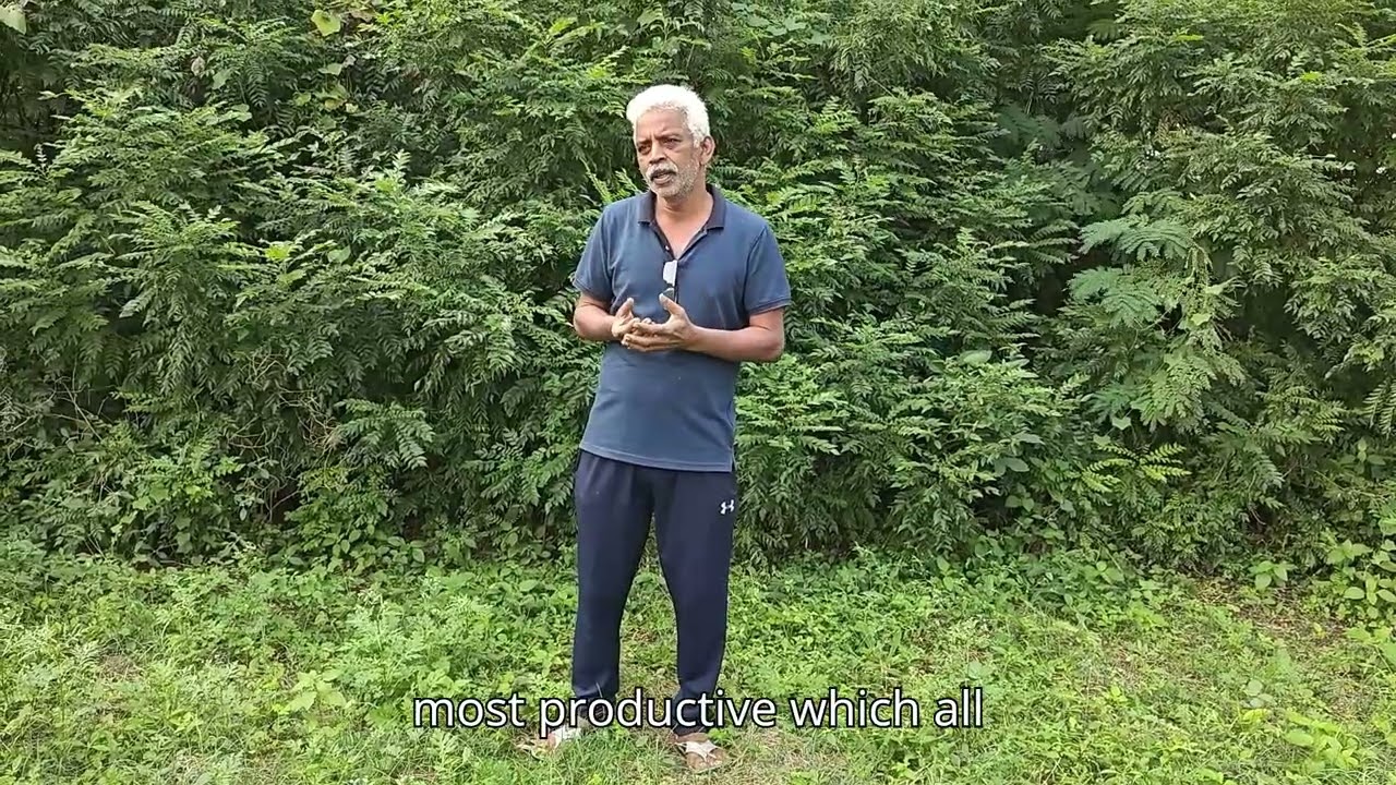 Feedback video of a trainee